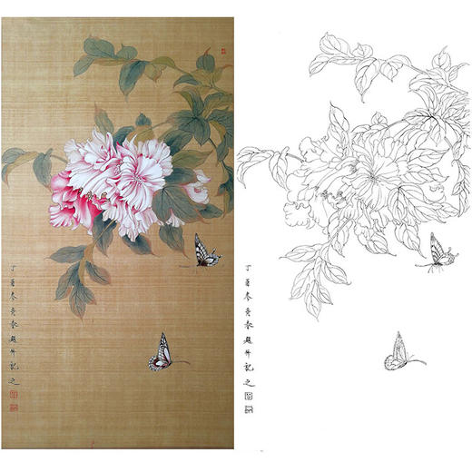 楚彦春竖幅复古风工笔花鸟白描底稿-牡丹-多种白描尺寸可选-CY02 商品图0