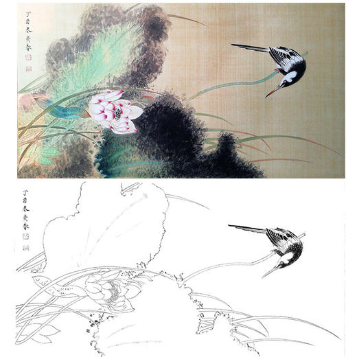 楚彦春横幅复古风工笔花鸟白描底稿-荷花-多种白描尺寸可选-CY17 商品图0