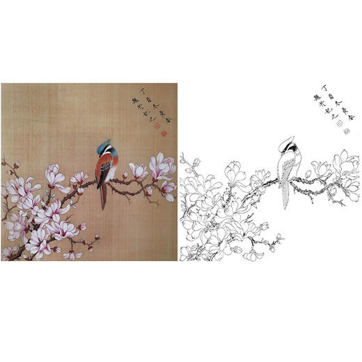 楚彦春复古风工笔花鸟白描底稿-玉兰花-斗方小品册页-CY20 商品图0