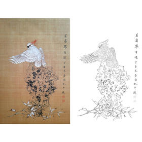 楚彦春竖幅复古风工笔花鸟白描底稿-鹦鹉画-多种白描尺寸可选-CY07