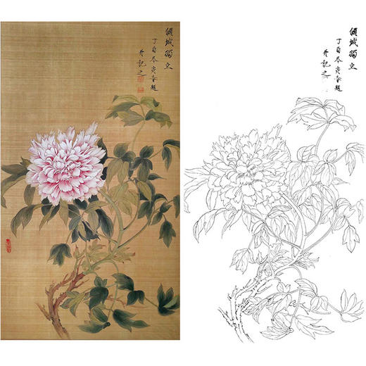 楚彦春竖幅复古风工笔花鸟白描底稿-牡丹-多种白描尺寸可选-CY01 商品图0