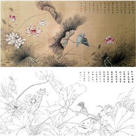楚彦春横幅复古风工笔花鸟白描底稿-荷花-多种白描尺寸可选-CY16