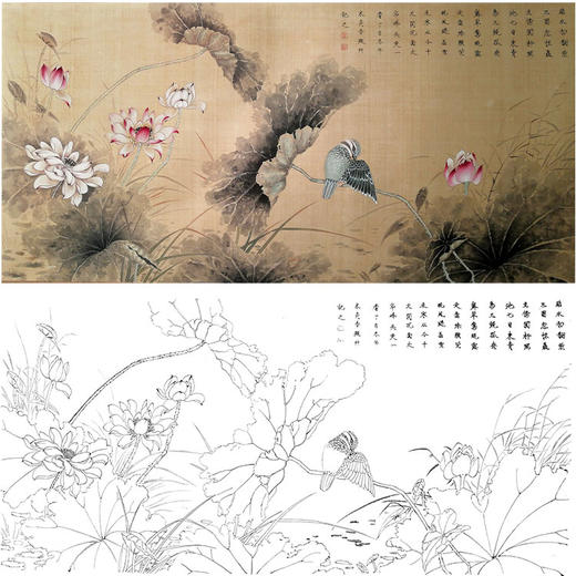 楚彦春横幅复古风工笔花鸟白描底稿-荷花-多种白描尺寸可选-CY16 商品图0