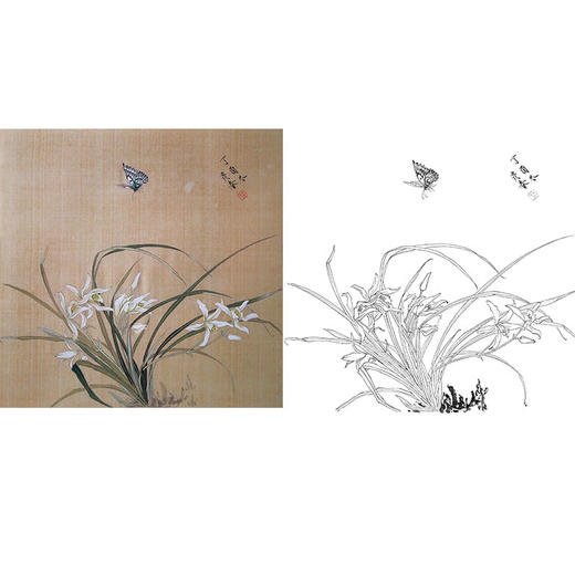 楚彦春复古风工笔花鸟白描底稿-兰花-斗方小品册页-CY21 商品图0