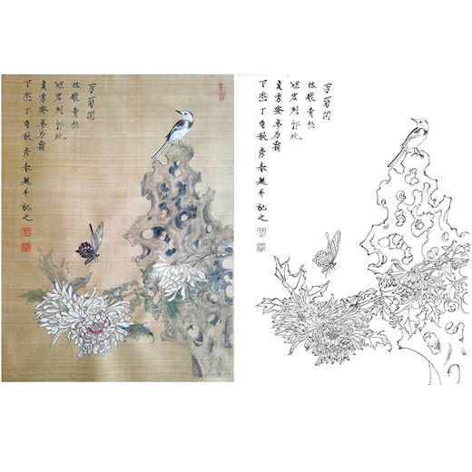 楚彦春复古风工笔花鸟白描底稿-菊花-斗方小品册页-CY31 商品图0