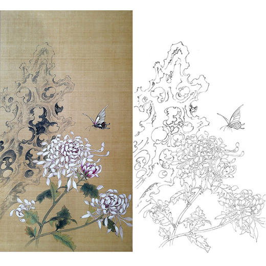 楚彦春竖幅复古风工笔花鸟白描底稿-菊花-多种白描尺寸可选-CY27 商品图0