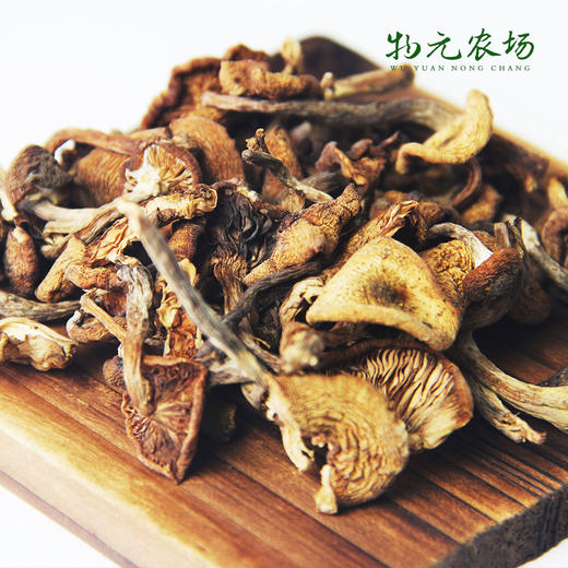 【生态榛蘑】干货东北特产榛蘑2018新品丨45g 商品图1
