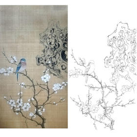 楚彦春竖幅复古风工笔花鸟白描底稿-梅花-多种白描尺寸可选-CY24