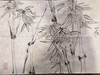 一白先生书画小品 商品缩略图4
