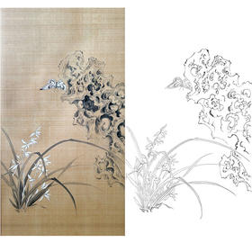 楚彦春竖幅复古风工笔花鸟白描底稿-兰花-多种白描尺寸可选-CY25