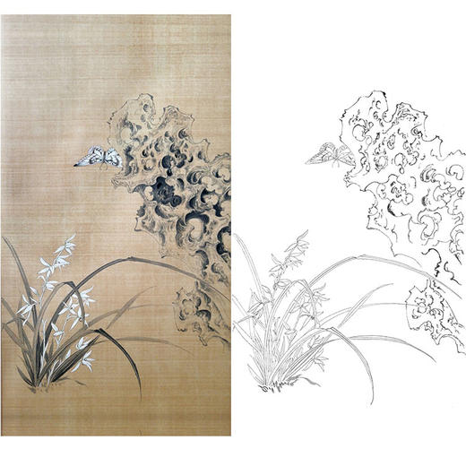 楚彦春竖幅复古风工笔花鸟白描底稿-兰花-多种白描尺寸可选-CY25 商品图0