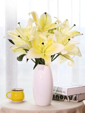 各色鲜花 香水百合一束（多色可选）鲜花云南昆明基地直发  空运包邮