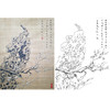 楚彦春复古风工笔花鸟白描底稿-梅花-斗方小品册页-CY28 商品缩略图0
