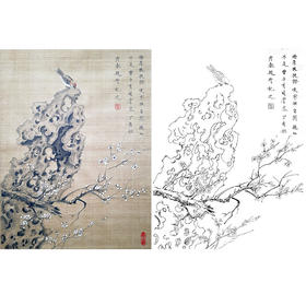 楚彦春复古风工笔花鸟白描底稿-梅花-斗方小品册页-CY28