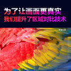 酷开（coocaa） 创维酷开32K6S 32英寸全面屏防蓝光护眼智能网络电视 创维出品 商品缩略图3