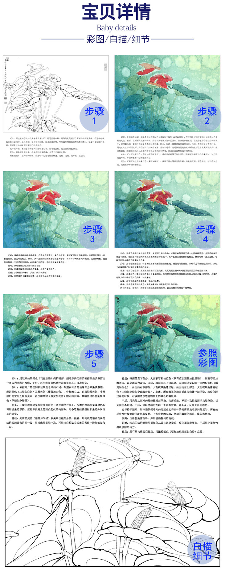 李晓明工笔花鸟白描底稿-红掌写生图-有步骤图及文字解析-kb12
