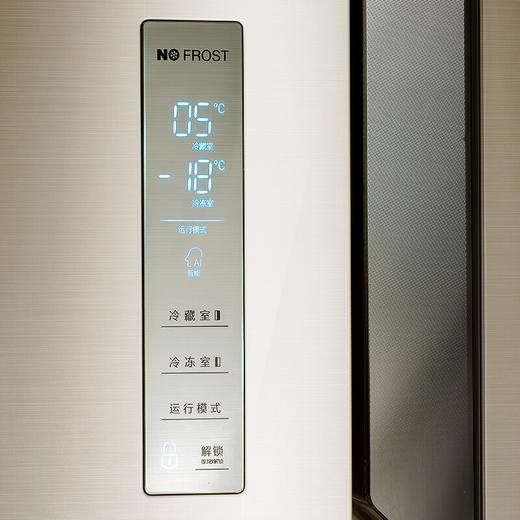 海信 (Hisense) 629升 风冷无霜 一级能耗变频 对开门冰箱 BCD-629WTVBP/Q 流光金 商品图5