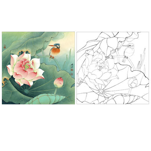 李晓明工笔花鸟白描底稿-荷花-《红荷绿翠图》-斗方小品册页-有步骤图及文字解析-KB09 商品图0
