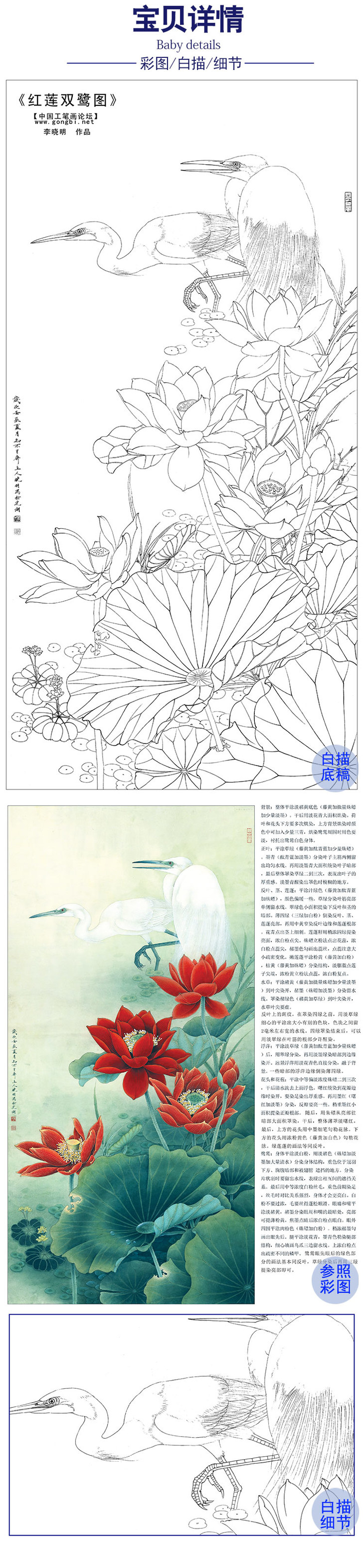 李晓明工笔花鸟白描底稿荷花白鹭双鹭红莲多种白描尺寸可选ka14