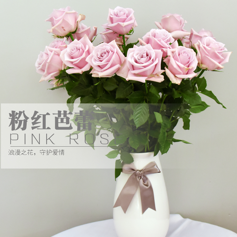 粉红芭蕾单头土栽