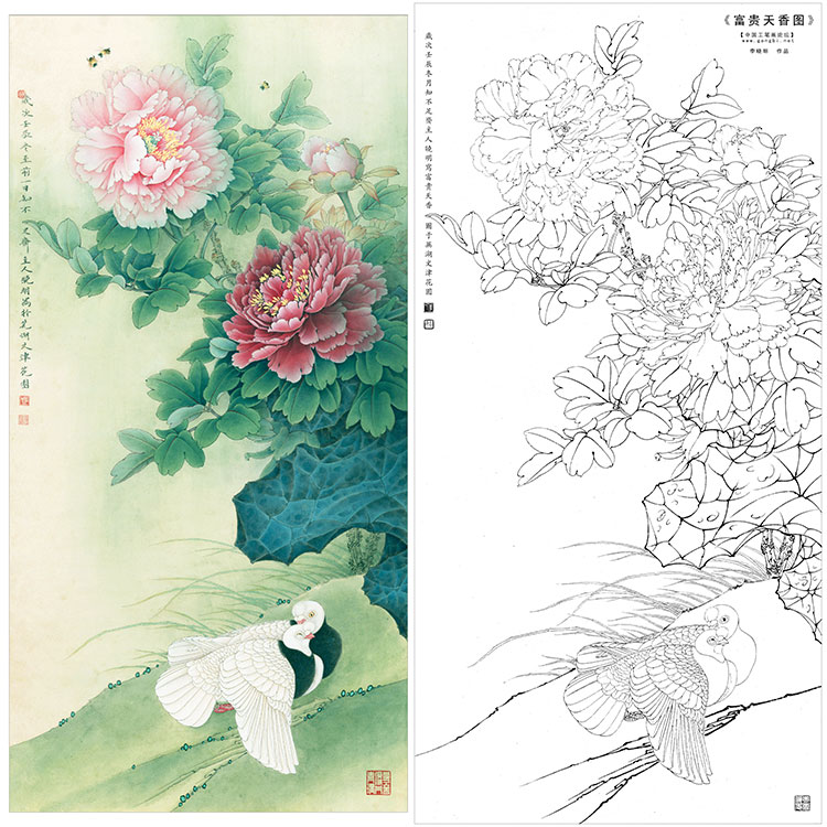 李晓明工笔花鸟白描底稿-牡丹鸽子-富贵天香图-ka13