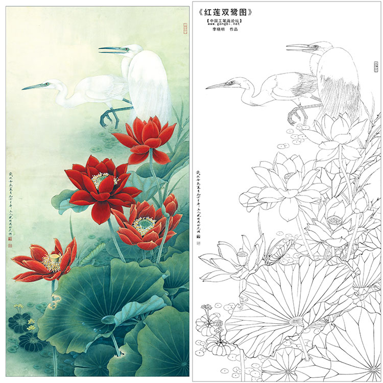 李晓明工笔花鸟白描底稿-荷花白鹭-双鹭红莲-多种白描