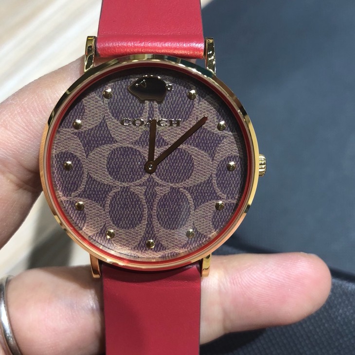 现货coach蔻驰  dw合作款 石英金猪真皮dw简约小红表  现货coach蔻驰