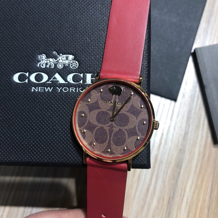 现货coach蔻驰  dw合作款 石英金猪真皮dw简约小红表  现货coach蔻驰