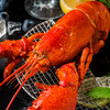 【备用】【砍价19.9元购】加拿大熟冻 波士顿龙虾(350g—400g) 商品缩略图3