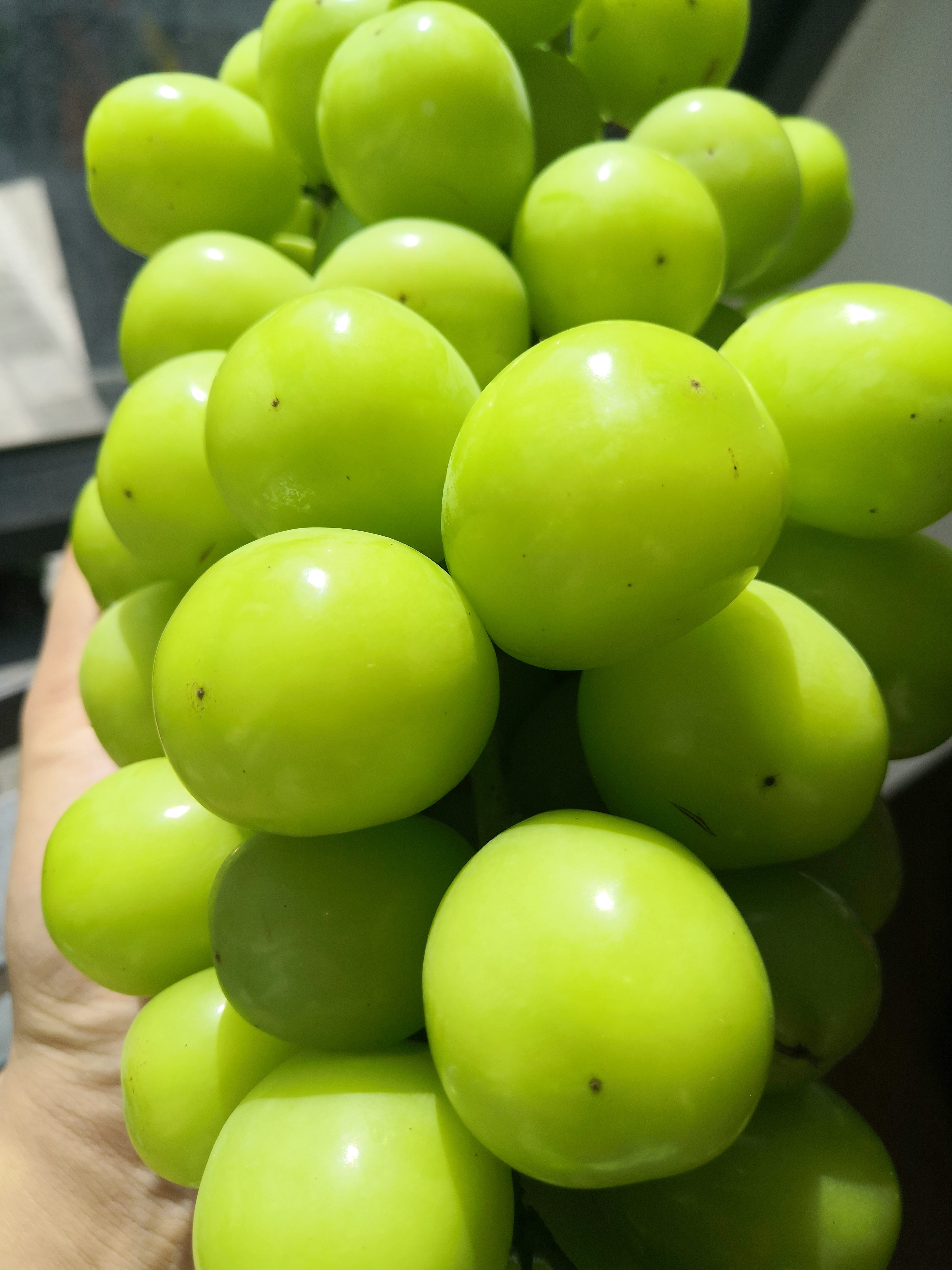 阳光玫瑰一级果4kg装新鲜上市!