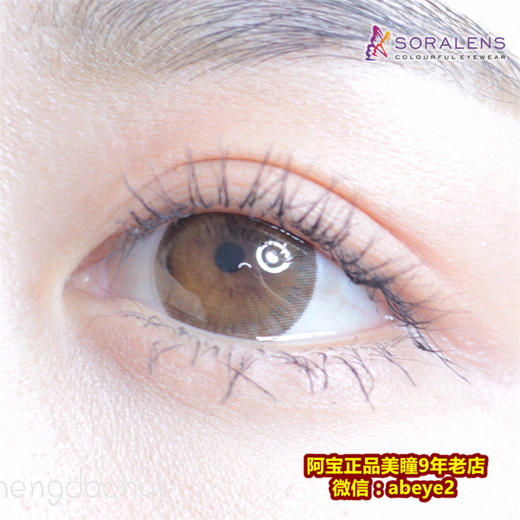 SORALENS  小猫咪【硅水凝胶】 商品图0