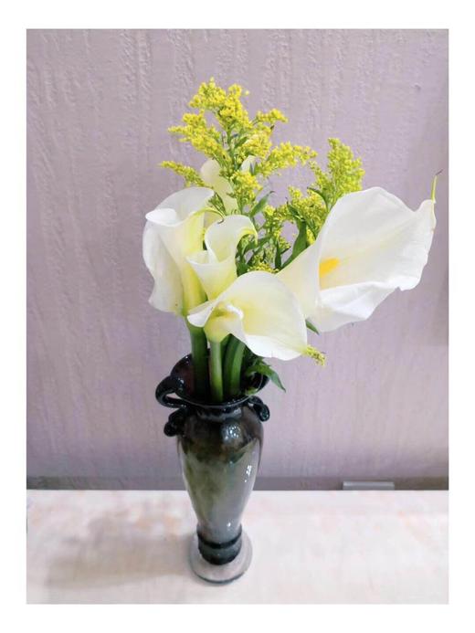 马蹄莲10枝19元 商品图4