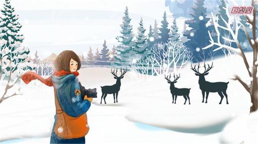 柒柒测试定金预售 商品图0