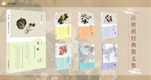 汪曾祺经典散文集七本：《五味》《我在西南联大的日子》《文与画》《说戏》《人间草木》《看见平凡》《身边的风景》 商品图1