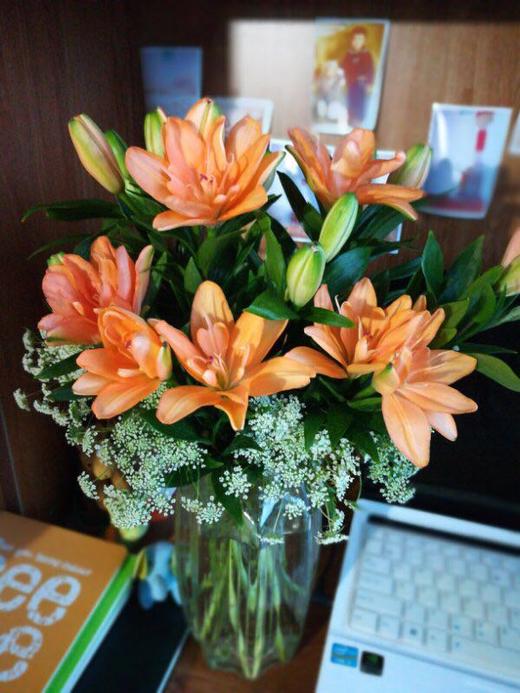 马蹄莲10枝19元 商品图6