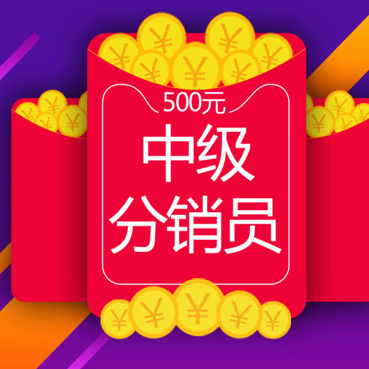 中级分销员代理资格 商品图0