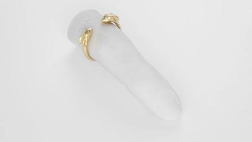 the rabbit ring 商品图1