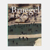 Bruegel in Detail/勃鲁盖尔的细节/英文原版 商品缩略图0