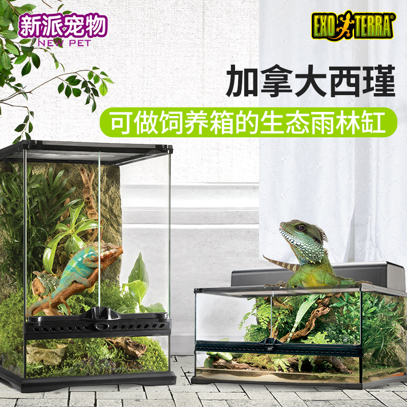 【exo西瑾】爬宠饲养箱玻璃变色龙蜥蜴守宫角蛙树蛙蛇雨林缸生态缸