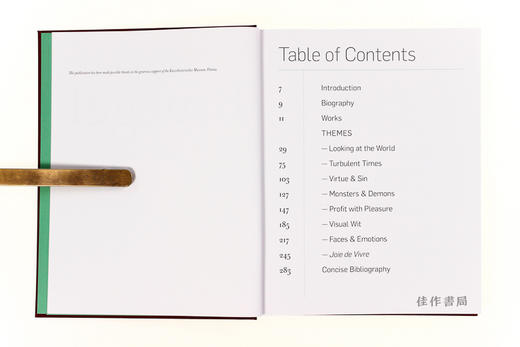 Bruegel in Detail/勃鲁盖尔的细节/英文原版 商品图2