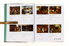 Bruegel in Detail/勃鲁盖尔的细节/英文原版 商品缩略图3
