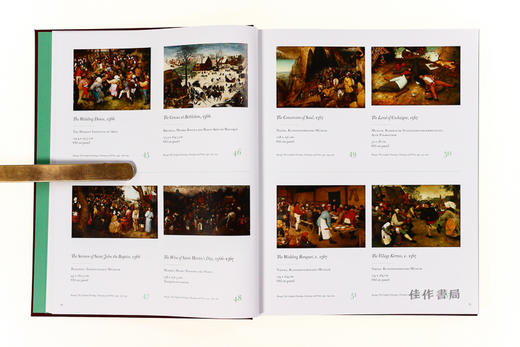 Bruegel in Detail/勃鲁盖尔的细节/英文原版 商品图3