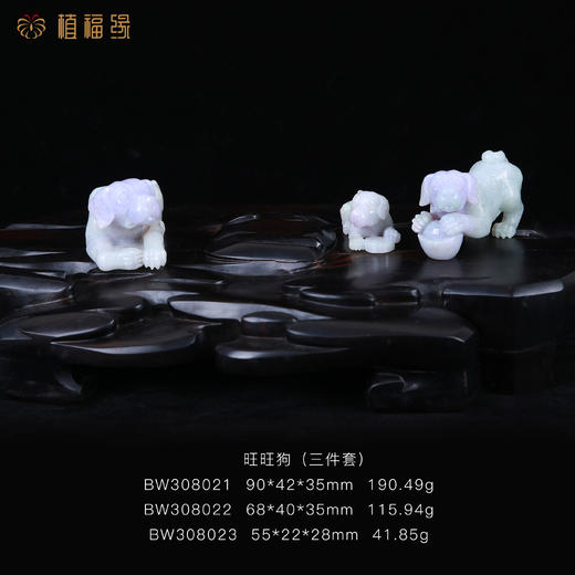 【同旺财】旺旺狗三件套-BW308021（22.23） 商品图0