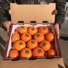 【沃柑礼盒】10斤/箱 商品缩略图2