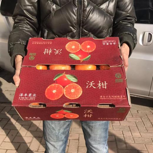 【沃柑礼盒】10斤/箱 商品图0