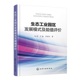 生态工业园区发展模式及能值评价