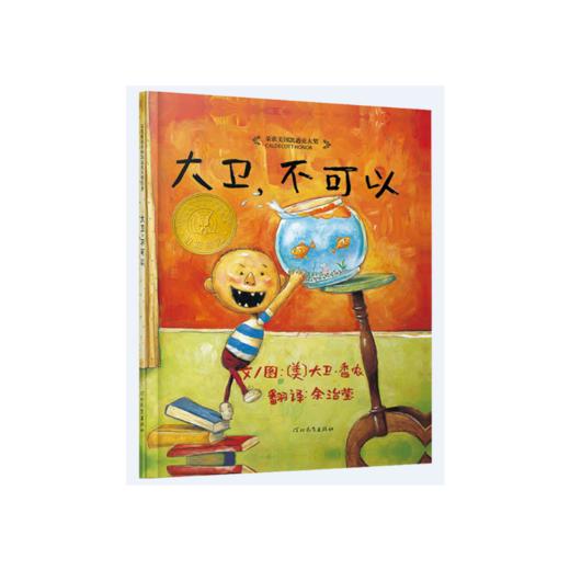 大卫，不可以 商品图0