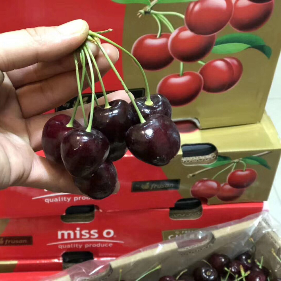miss o大3j科迪亚碧绿长腿5斤装