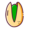 测试