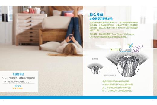 NS家居 nsfurniture 美国进口防尘纤维地毯NSCP-KC015-243 商品图7